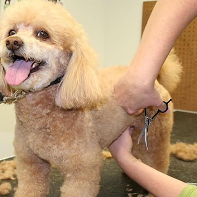 Dragon Creek 7" Upward Curved Dog Grooming Scissors - Safety Shears for Face & Paws Trimming - Black