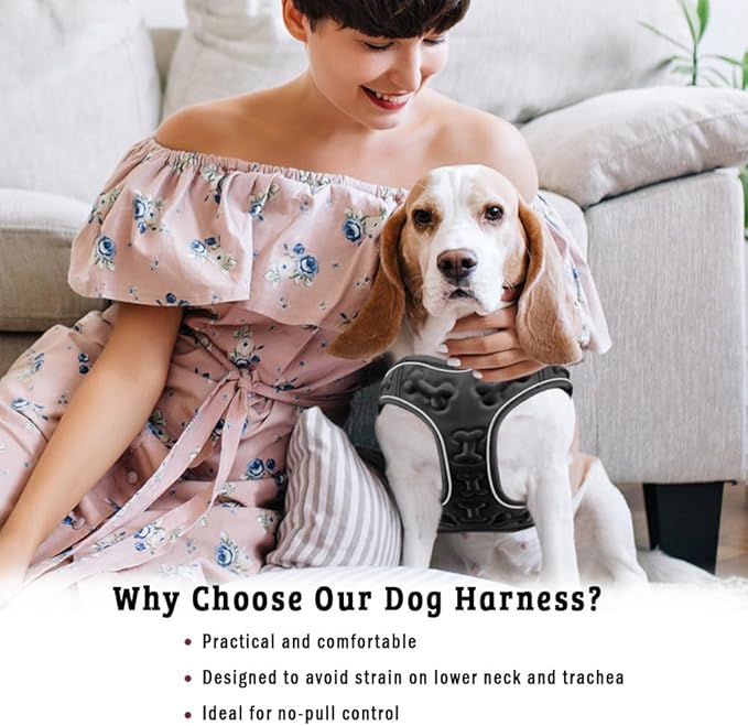 Comfort fit All Weather Step-in Reflective Dog Harness - Adjustable Small Dog Harness Medium Sized Dogs - Soft Padded Easy Walk Dog Vest Harnesses