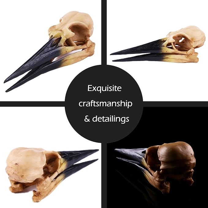 Fish Cave Hideout Ornament Dรฉcor for Terrarium Dinosaur Animal Skull Aquarium Large Decorations Betta Tarantula Reptile Snake Decor Bones Halloween