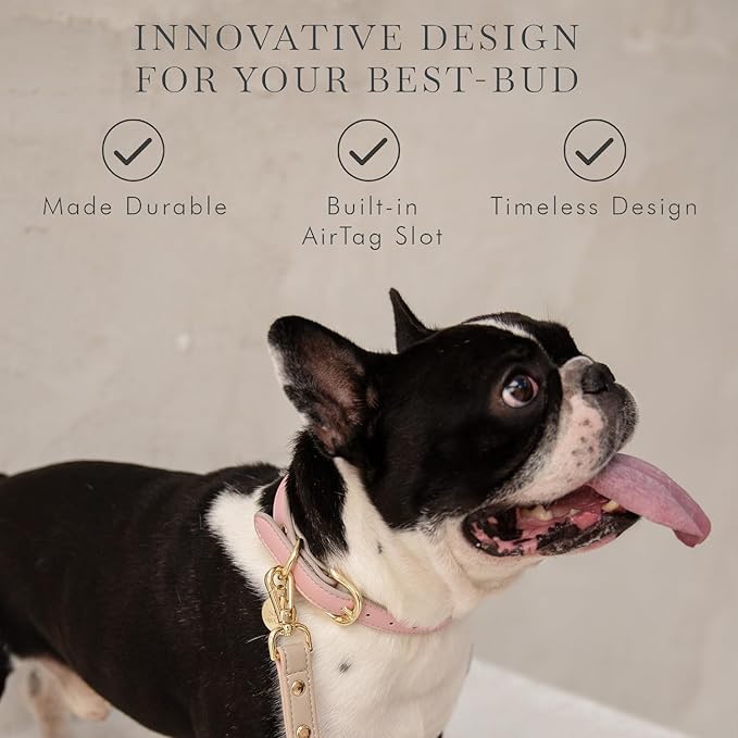 Cupertino Dog Collars, Harnesses & Leashes Made from Vegan Leather with Dog Tracker Device Holder Adjustable Dog Collar (Medium, Pink)