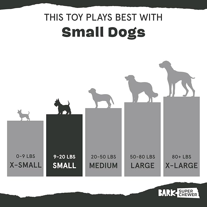 Barkbox Torbert The Troll Dog Toy for Small Dogs – Natural Rubber with Wacky Bounce – Perfect for Aggressive Chewers and Long-Lasting Playtime
