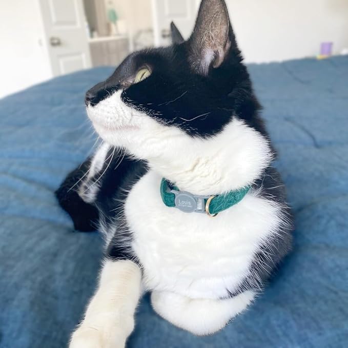 Personalized Breakaway Cat Collar with Engraved Name and Phone Number - Customizable Kitten Collars for Boys and Girls