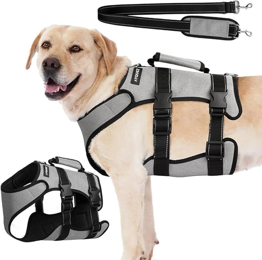 Ayquez Dog Lift Harness with Storage and Transport Bag, Dog Harness with Handle for Lifting & Hip dysplasia, arnés para Perros pequeños, pechera para Perros (Gray, XL)