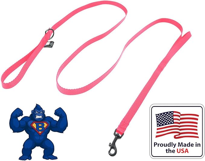 Dog Leash for Teacup Toy Minature and Small Dogs Primary & Traffic Handle The Bulk Multiple Sizes & Colors 5/8” Width Nylon Proudly Made in The USA (Hot Pink, 6 Foot)