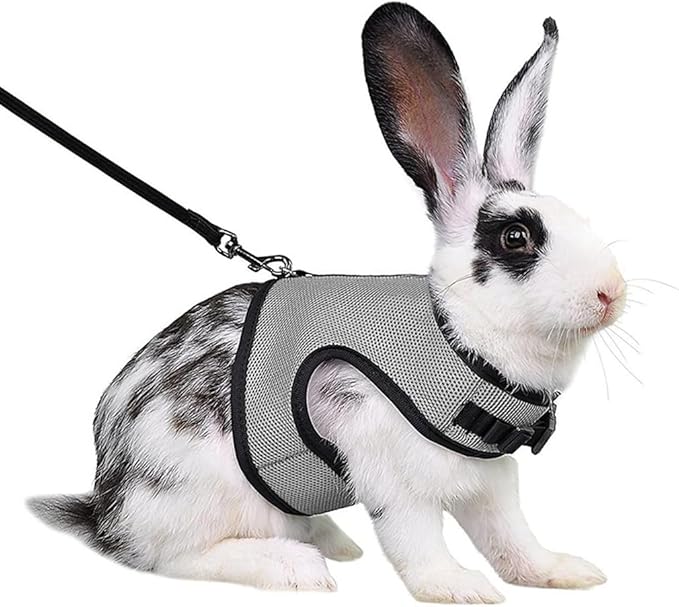 Rabbit Harness and Leash, Hamster Leash Bunny Vest Mesh Eescape Proof Walking Training for Small Animal Pets Rat Squirrel Ferret Guinea Pig Bunnies, Grey L
