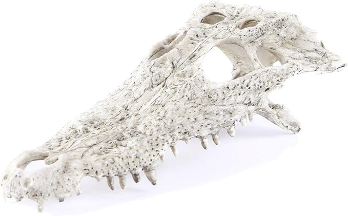 Animal Skull Fish Aquarium Hideout Decorations Cave Dinosaur Reptile Ornament Halloween Dรฉcor for Terrarium Large Betta Decor Bones