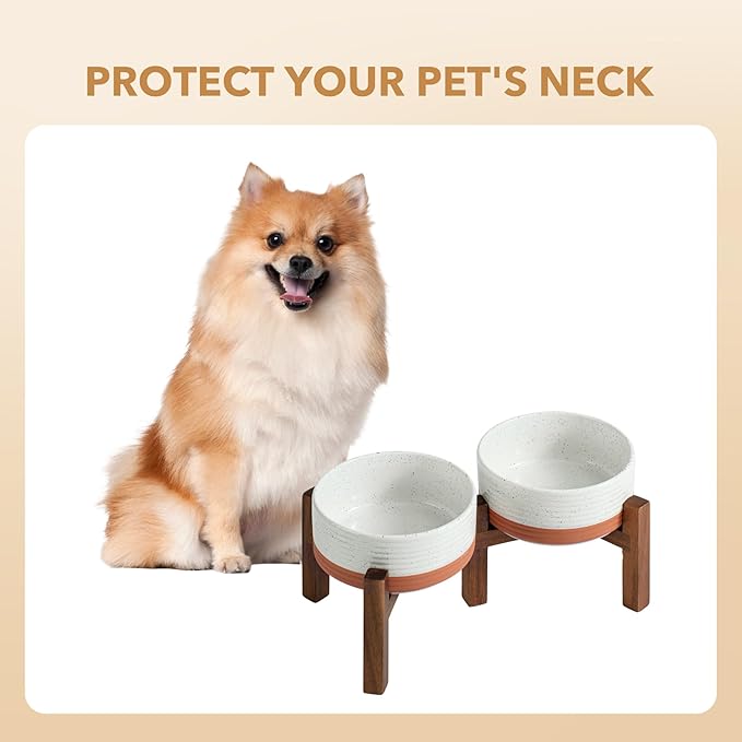 Ceramic 6.1inch Raised Double Dog Bowls Set with Acacia Wood Stand, 2 Heights Elevated, Food & Water Bowls for Small Dogs(28.2oz, Vanilla White)