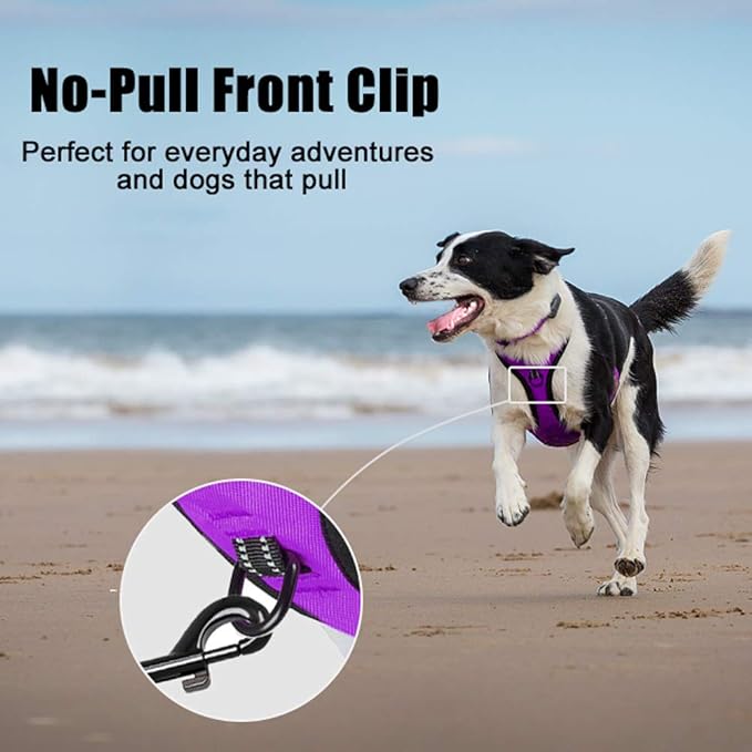PoyPet No Pull Dog Harness, Reflective Comfortable Vest Harness with Front & Back 2 Leash Attachments and Easy Control Handle Adjustable Soft Padded Pet Vest for Small to Large Dogs (Purple,XS)