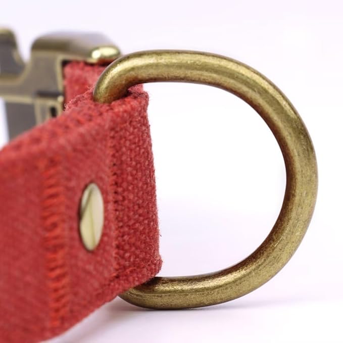 PET ARTIST Dog Collar for Large Dogs, Soft Padded Premium Nylon Dog Collar with Quick Release Metal Buckle, Durable & Adjustable Pet Collars for Boy Gifts, Red, L (Fit 15-22")