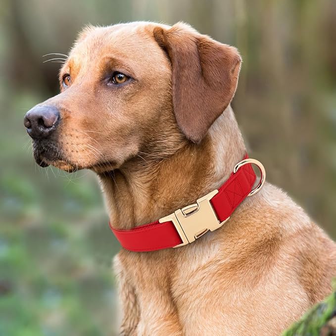 PET ARTIST Soft PU Leather Dog Collar, Bright & Classic Red Dog Collar with Quick Release Rose Metal Buckle, Adjustable Nylon Padded Durable Pet Collars for Medium Dogs Girl, Neck Fit 13-19"