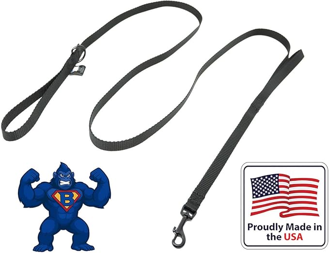 Dog Leash for Teacup Toy Minature and Small Dogs Primary & Traffic Handle The Bulk Multiple Sizes & Colors 5/8” Width Nylon Proudly Made in The USA (Black, 10 Foot)
