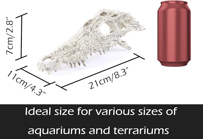 Animal Skull Fish Aquarium Hideout Decorations Cave Dinosaur Reptile Ornament Halloween Dรฉcor for Terrarium Large Betta Decor Bones