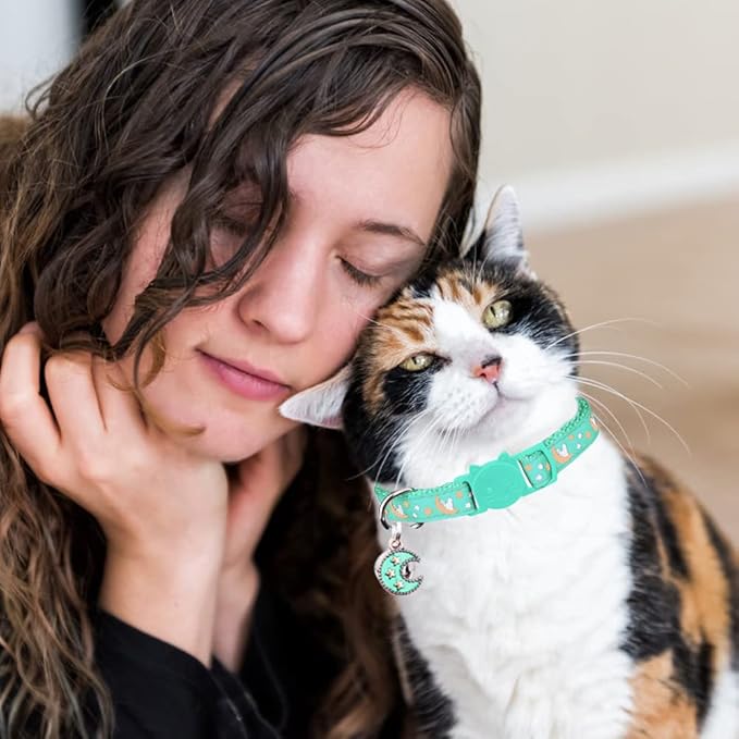 2Pcs Breakaway Cats Collars Cat Collars for Boy & Girl Cats Adjustable Kitten Collars with Bell,Pink+Teal,8"-13.1"