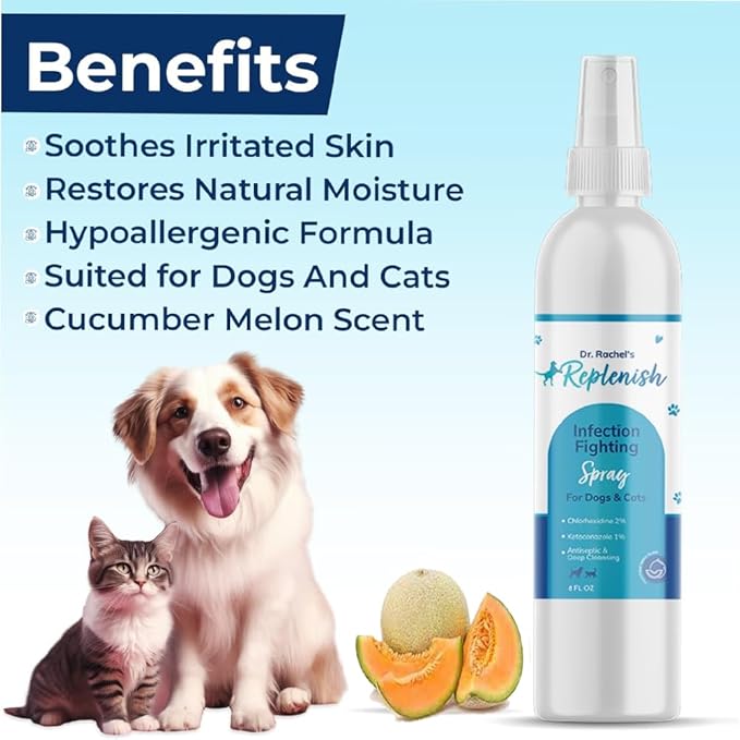 Replenish Antiseptic Spray for Dogs β Medicated Anti Itch Spray for Pets β Chlorhexidine & Ketoconazole Pet Spray β Dog Itching Skin Relief - Antiseptic Spray for Cats Skin Allergy β 8 oz