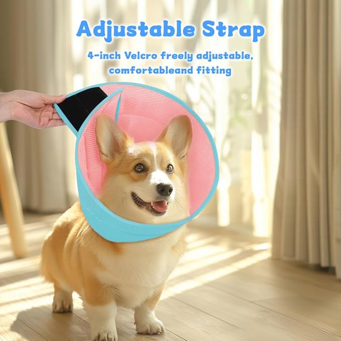 Inspack Soft Dog Cone Collar Alternative, E Cones for Small Dogs/Cat/Puppy to Stop Licking after Surgery, Comfortable All Paws Comfy Elizabethan Collars, Neuter Recovery Ecollars of Shame Alternatives