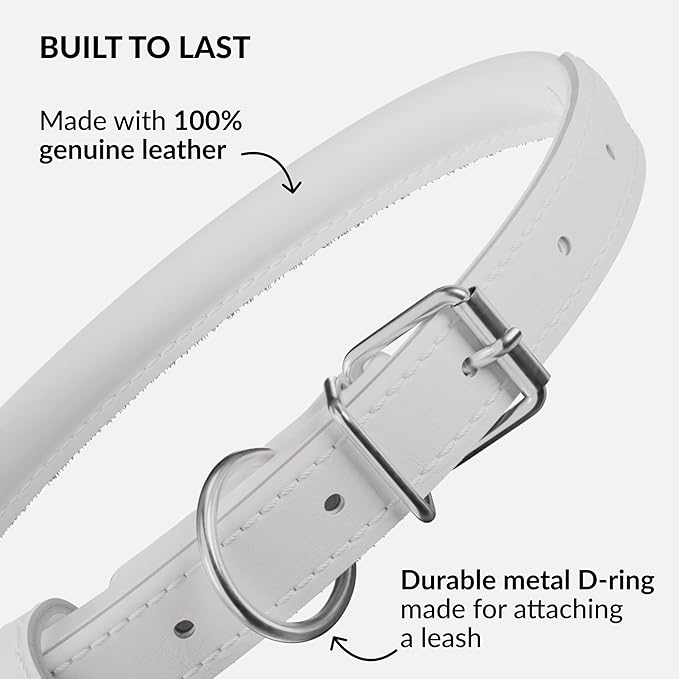 CollarDirect Rolled Leather Dog Collar, Soft Padded Round Puppy Collar, Handmade Genuine Leather Collar Dog Small Large Cat Collars 13 Colors (11-14 Inch, White Smooth)