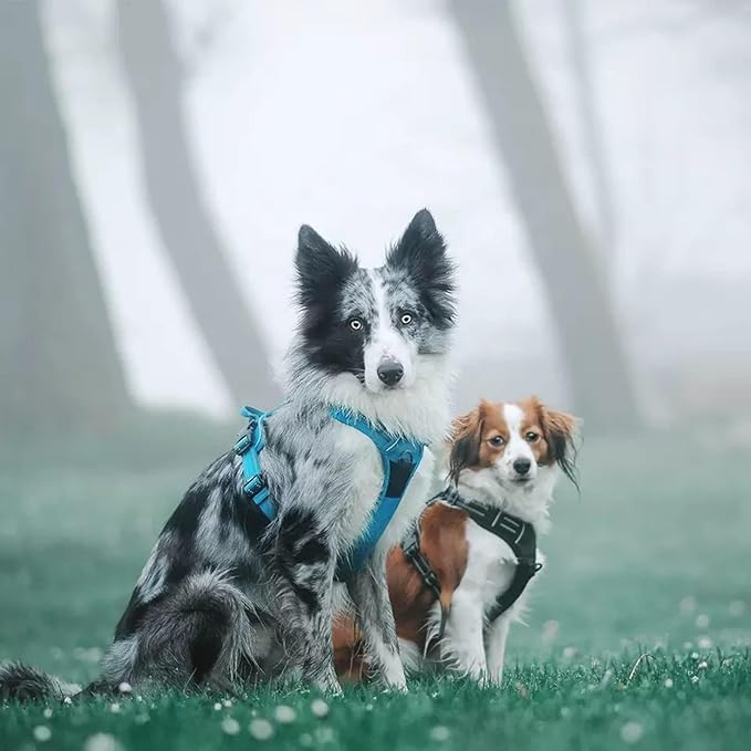 TRUE LOVE Truelove Adjustable No-Pull Dog Harness Reflective Pup Vest Harnesses Comfortable Control Brilliant Colors TLH5651(Blue,S)