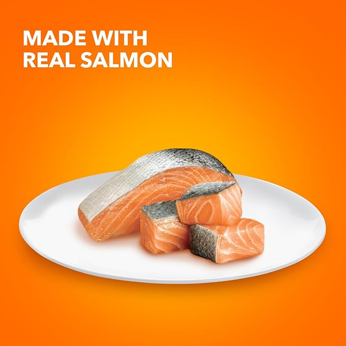 IAMS Perfect Portions Indoor Adult Wet Cat Food Cuts in Gravy, Salmon Recipe, 2.6 oz. Easy Peel Twin-Pack Trays (24 Count, 48 Servings)
