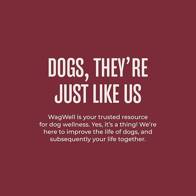 WagWell Beef Liver Freeze-Dried Topper - Grain Free, High Protein Daily Meal Complement for Dogs Made in The USA - Human Grade, Minimally Processed - Pack of 2