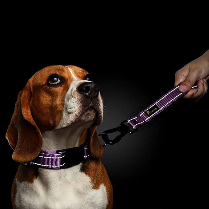 PLUTUS PET 10” Short Dog Leash, Reflective Nylon Padded Handle, Strong Traffic Leash with Carabiner Clip, Perfect for Large or Medium Dogs(10”,Purple