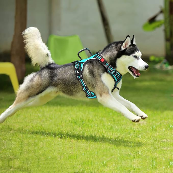 PoyPet No Pull Dog Harness, No Choke Front Clip Reflective Dog Vest with Soft Padded Vertical Handle, 3 Leash Attachments for Small Medium Large Dogs (Mint Blue,XL)