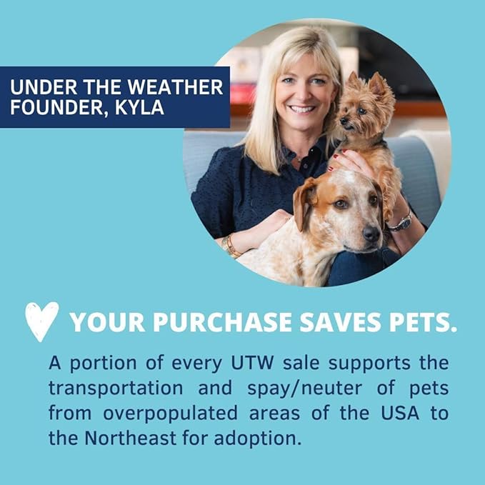 Under the Weather Pet | Ready Cal for Dogs 100cc | High Calorie Supplement | Dog Weight Gainer and High Calorie Booster | 10 Vitamins, 7 Minerals & Omega Fatty Acids (2 Pack)