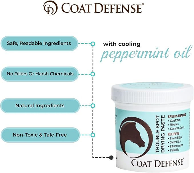 COAT DEFENSE Trouble Spot Drying Paste for Horses - Natural Equine Wound Care That Provides Safe & Effective Relief from Scratches, Sweet Itch, Summer Sores, Proud Flesh, Mud Fever, Girth Rot (10 Oz)