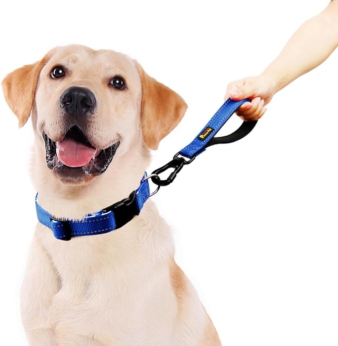 PLUTUS PET Short Dog Leash, Reflective Nylon Padded Handle, Strong Traffic Leash with Carabiner Clip, Perfect for Large or Medium Dogs (10”,Royal Blue)