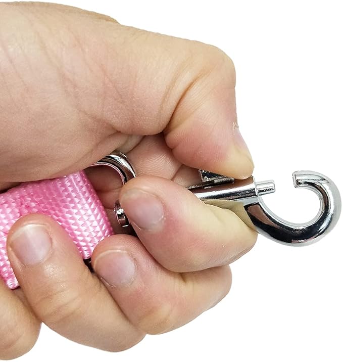 Nylon Dog Training Leash, Traction Rope, 4Ft /5 Foot /6 Feet Long, 5/8 inch 3/4 Inch 1 Inch Wide, for Small and Medium Dogs (3/4'' x 4 F, Pink)