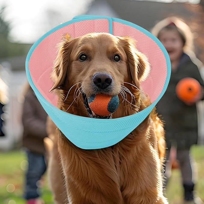 Inspack Soft Dog Cone Collar Alternative, E Cones for Small Dogs/Cat/Puppy to Stop Licking after Surgery, Comfortable All Paws Comfy Elizabethan Collars, Neuter Recovery Ecollars of Shame Alternatives