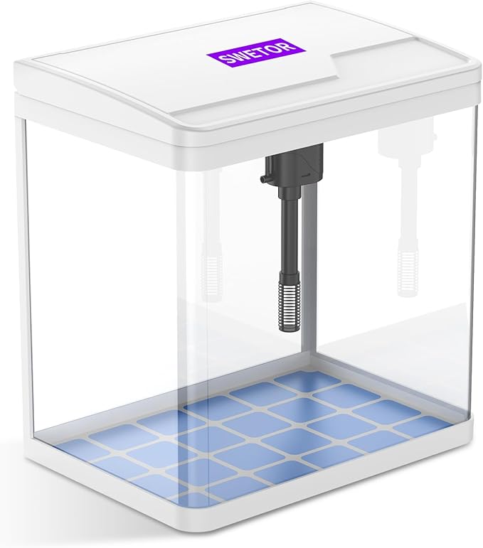 2 Gallon Glass Betta Fish Tank,Small Fish Tank with Filter and Light,Self-Cleaning Fish Tank.