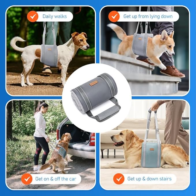 Dog Lift Harness for Small Dogs, Adjustable Dog Sling for Back Legs, Hip Support Harness to Help Lift Dogs Rear for Canine Aid and Old K9 Cruciate Ligament Rehabilitation - Small, Grey