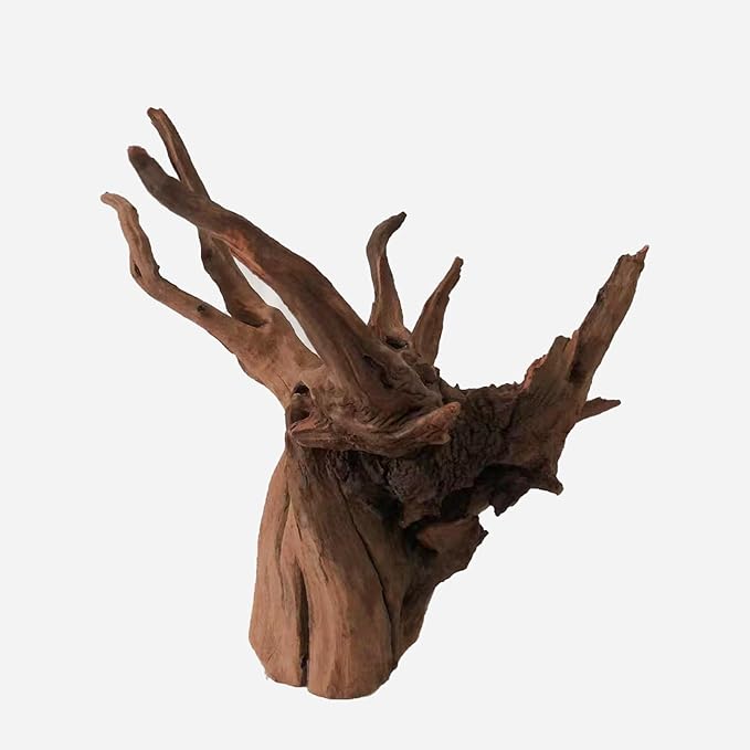 LYPHARD AQUARIUMS Natural Driftwood for Aquarium Decor, L16.14×W14.57×H12.99 Inches Large Drift Wood Decorations for Reptile Hide, Fish Tank, Optional Shapes