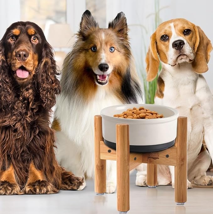 Dog Bowl Stand (9-inch Tall) for Medium Breeds - Use to Raise, Elevate Dog Food/Water Single Bowls and Feeders, Adjustable - Bamboo