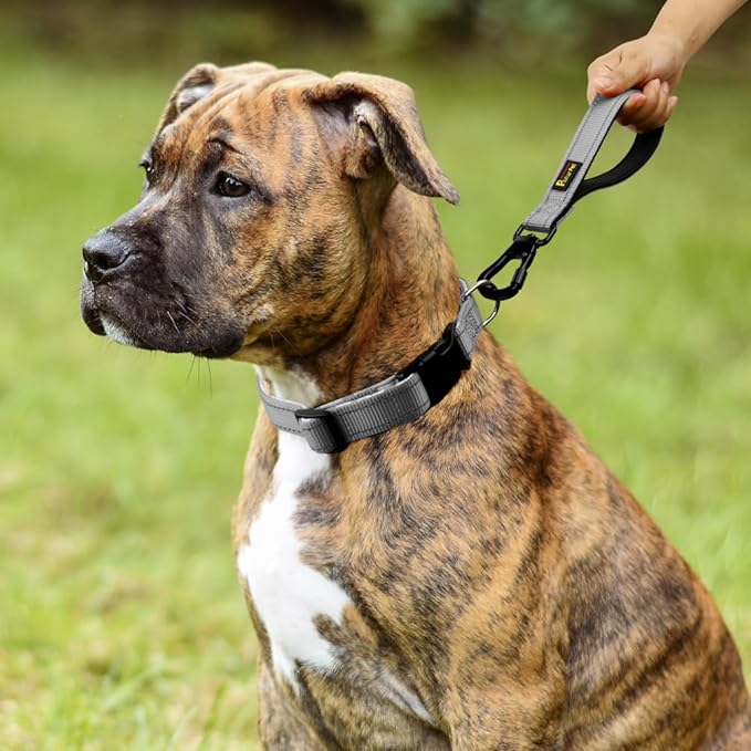 PLUTUS PET Short Dog Leash, Reflective Nylon Padded Handle, Strong Traffic Leash with Carabiner Clip, Perfect for Large or Medium Dogs (10”,Gray)