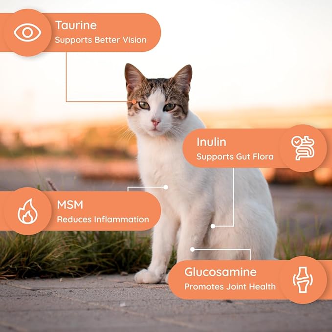 Petralyte Cat Hydration Electrolyte and Cat Joint Supplement | Hydration Support for Cats w/Glucosamine, Chondroitin, L-Glutamine, Taurine, Lysine & Prebiotics | Sample Pack | 8 Packets