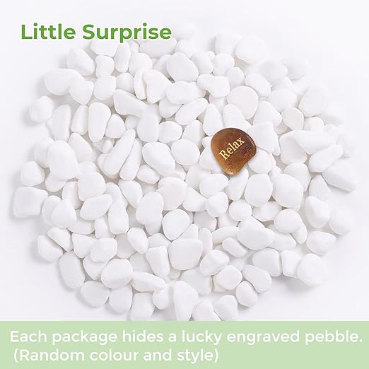 SIDONG 10 LB White River Rocks, 0.3-0.5 Inches Matte Pebbles for Indoor Plants, Aquarium Rocks Used in Fish Tank, Decorative Stones for Plants, Vases, Home DΓ©cor, Crafting, Garden Landscaping