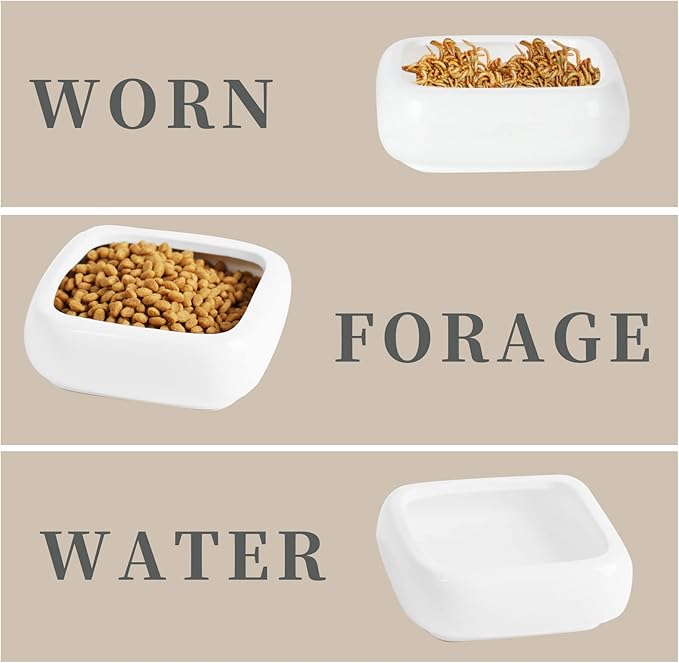 Reptile Food Bowls Ceramic Square Reptile Water Food Dish, Pet Food Bowl for Lizards, Young Bearded Dragons, Small Snakes, Gecko Tortoise Spider (White, Large-1Pack)