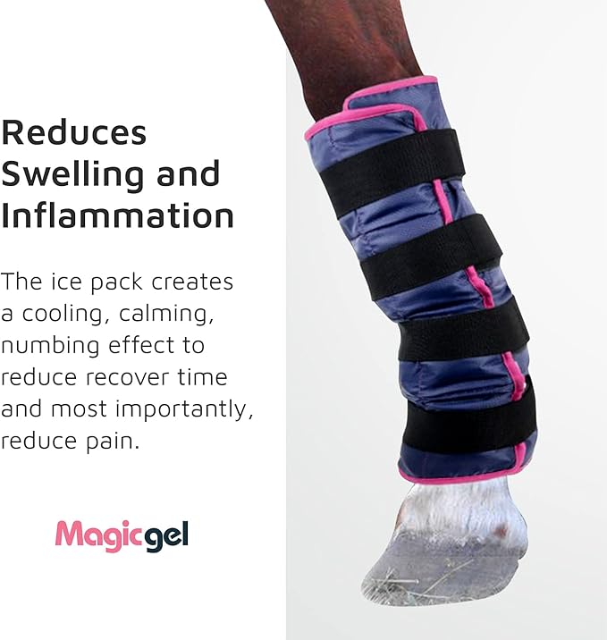Magic Gel Horse Ice Pack with Carry Case - Single Ice Boots | Cooling Horse Leg Wraps for Hock, Ankle, Knee, Legs, Boots, and Hooves | Horse Tack & Horse Supplies & Ideal Gift for Horse Lovers Women