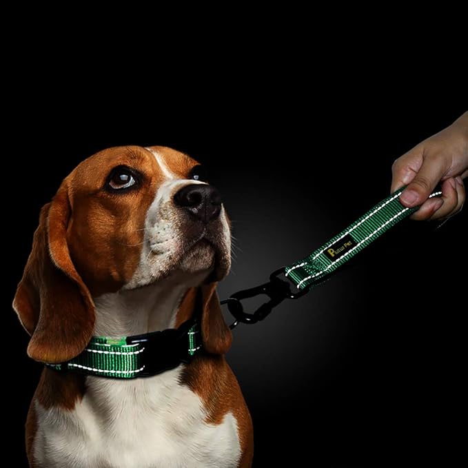 PLUTUS PET 10” Short Dog Leash, Reflective Nylon Padded Handle, Strong Traffic Leash with Carabiner Clip, Perfect for Large or Medium Dogs(10”,Green