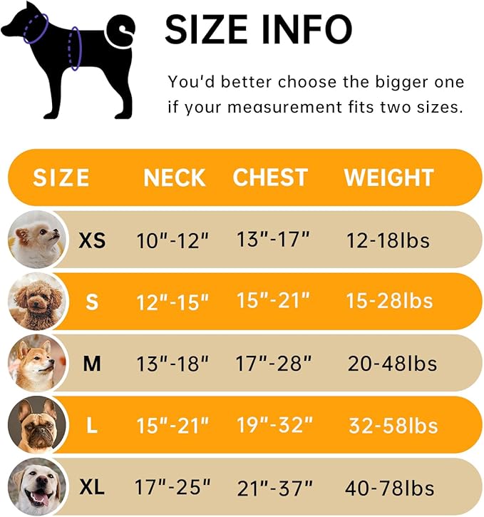 IVY&LANE No Pull Dog Harness for Large Dogs, Dog Vest Harness with Leash, Safety Belt and Storage Strap, Fully Adjustable Harness, 360° Reflective Strip, Soft Handle (Orange, L)