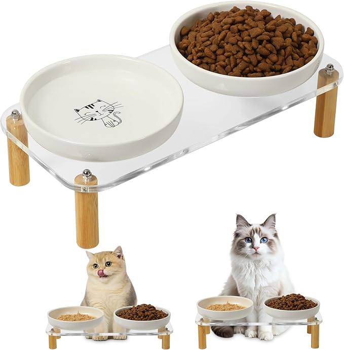Elevated Cat Bowls for Indoor Cats – Modern Acrylic Cat Food Table with 2 Ceramic Dishes, Adjustable Height (4.05"/2.87"), Whisker Friendly Raised Feeding Station