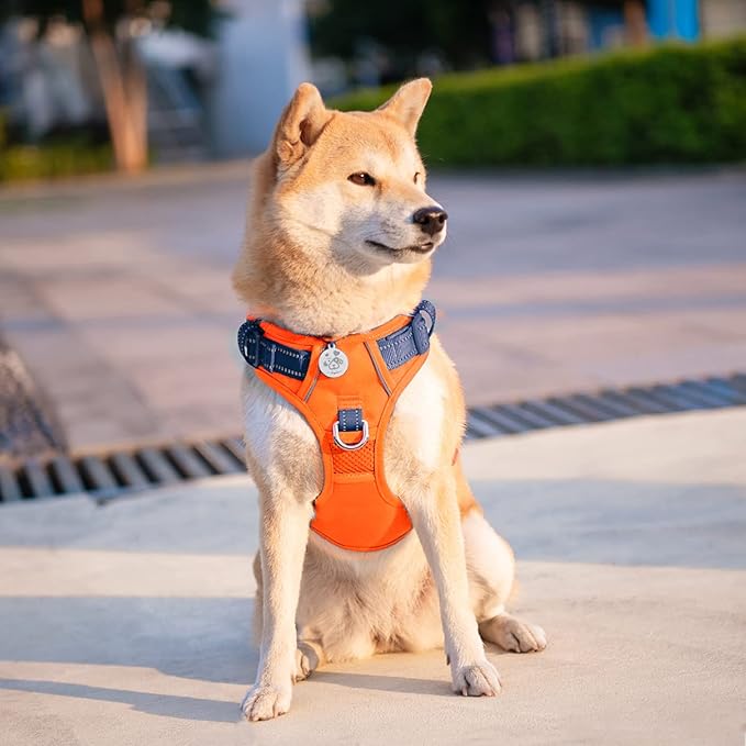 PHOEPET No Pull Dog Harness, Unique Colors Reflective Adjustable Dog Vest, with Soft Training Handle Metal Clips for Small Medium Large Dogs (Orange Base & Blue Straps,M)