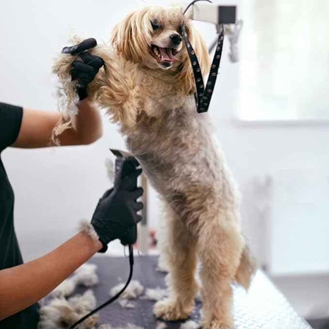 2PC 7FC Blade Dog Grooming Clipper Blade Compatible with Andis Dog Clipper/Oster A5/Wahl KM-10 Series,Ceramic Blade & Stainless Steel Blade