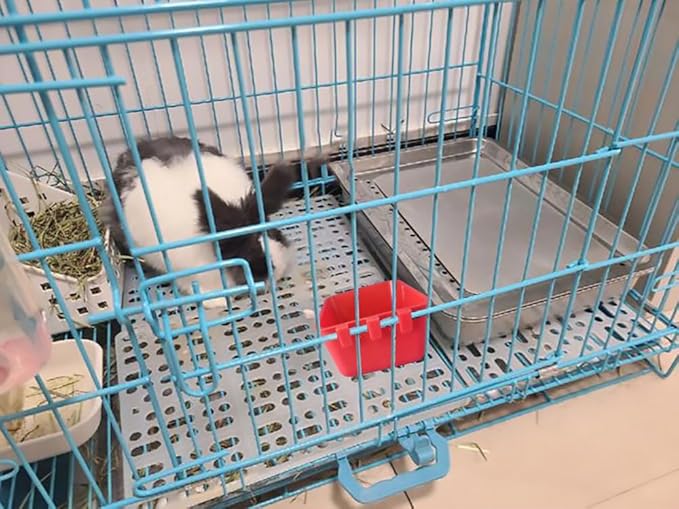 Pack of 10 Cage Cups Birds Feeders Seed Bowl Chicken Feeding Watering Dish Rabbit Water Food Hanging Wire Cages Box 8 oz Coop Cups for Pet Parrot Parakeet Game Fowl Poultry Pigeon