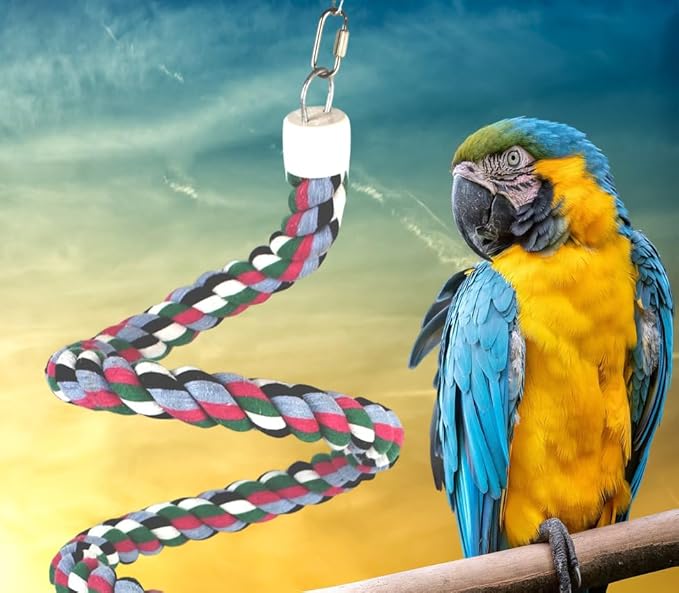 65 inch Length Colorful Cotton Bendable Rope Perch Swing Bird Chew Toys Amazon Parrots Cage Toys with Bell Swing Climbing Standing Bungee Bird Toys for Large to Regular Birds