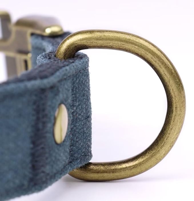 PET ARTIST Dog Collar for Large Dogs, Soft Padded Premium Nylon Dog Collar with Quick Release Metal Buckle, Durable & Adjustable Pet Collars for Boy Gifts, Blue, L (Fit 15-22")