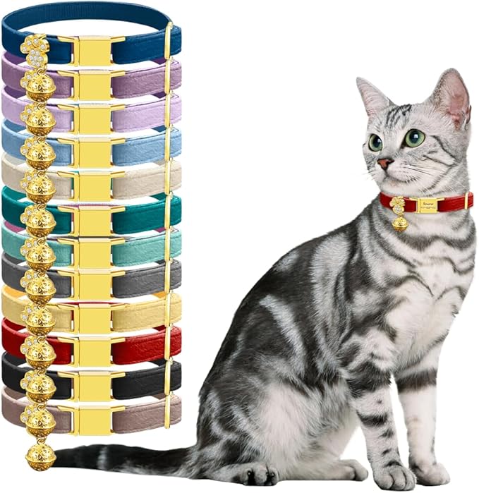 Personalized Breakaway Cat Collars - Magnetic Buckle, Bell - Safety Quick Release, Customized for Girls & Boys Cats- (Velvet-Red)