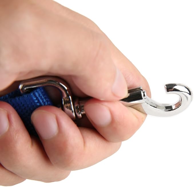 Nylon Dog Training Leash, Traction Rope, 4Ft /5 Foot /6 Feet Long, 5/8 inch 3/4 Inch 1 Inch Wide, for Small and Medium Dogs (Blue, 1'' x 15 FT)