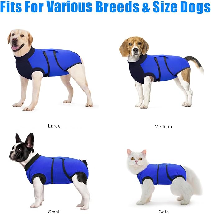 Idepet Dog Recovery Suit Female,Dogs Onesie Suit Surgery Male Breathable Pet Bodysuit for Spay Neuter E-Collar & Cone Alternative Surgical Suit Puppy Abdominal Anti Licking Wounds Shirt (Blue, XS)